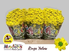 Chrysanth Santini Madiba Ringa Yellow 55cm 36gr.