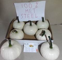 Cucurbita Pepo Baby Boo 15cm