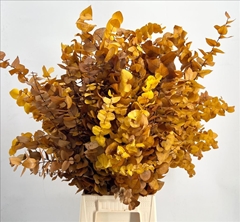 Eucalyptus Stuartiana Yellow Per Bunch 70cm