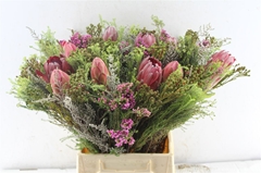 Protea Per Bunch 50cm