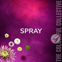 Chrysanth Spray ResQ Rosy 70cm 75gr.