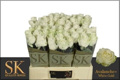 Rosa Avalanche+ 55cm
