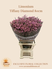 Limonium Sinense Tiffany Diamond 80cm 40gr.