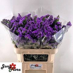 Limonium Sinuatum Crystal Dark Blue 75cm 40gr.