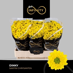 Chrysanth Santini Dinky 55cm 40gr.
