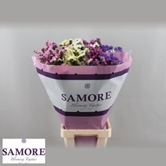Limonium Sinuatum Mix 80cm 40gr.