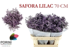 Limonium Safora Lilac 70cm 45gr.