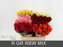 Rosa Mixed 40cm