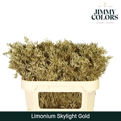 Limonium Painted Skylight Gold 70cm 25gr.