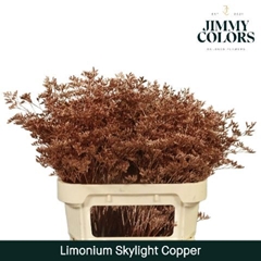 Limonium Painted Skylight Metallic Copper 80cm 30gr.