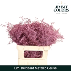 Limonium Painted Beltaard Metallic Cerise 90cm 50gr.