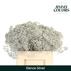 Gypsophila Painted Metallic Silver 60cm 20gr.