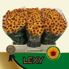 Chrysanth Santini Lexy 55cm 48gr.
