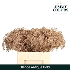 Gypsophila Painted Metallic Antique Gold 60cm 20gr.
