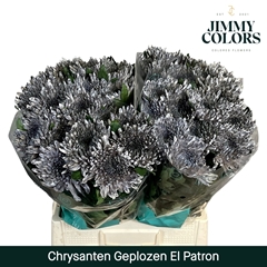 Chrysanth Single Painted Topspin El Patron 70cm 70gr.