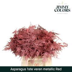 Asparagus Setaceus Painted Metallic Red + Glitter 45cm