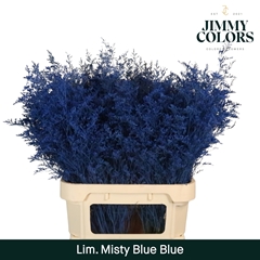 Limonium Painted Misty Blue Blue 90cm 40gr.