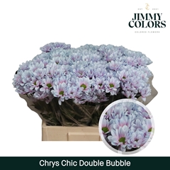 Chrysanth Spray Chic 70cm 90gr.