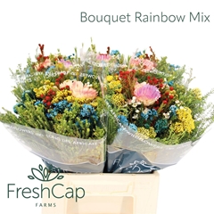 Brunia Cape Mix Bunch 40cm