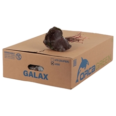 Galax Urceolata Per Bunch 20cm