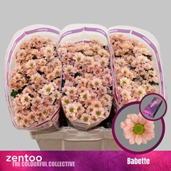 Chrysanth Santini Babette 55cm 44gr.