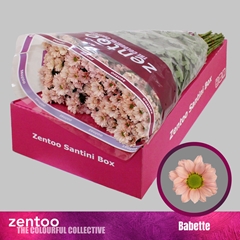 Chrysanth Santini Babette 55cm 44gr.