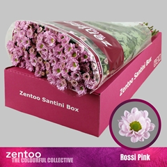 Chrysanth Santini Rossi Pink 55cm 44gr.