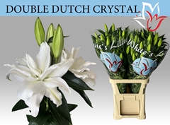 LilY Oriental Double Double Dutch Crystal 80cm 5+