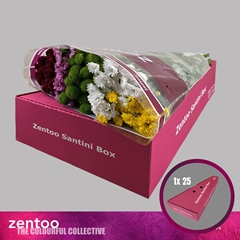 Chrysanth Santini Mix 55cm 48gr.