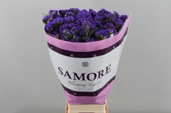 Limonium Sinuatum Blue Birds 70cm 30gr.