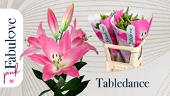 Lily Oriental Tabledance 95cm 5+
