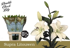 Lily La Litouwen 95cm 5+