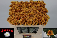 Chrysanth Spray Palette 65cm 45gr.