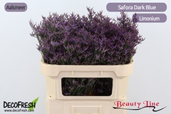 Limonium Safora Dark Blue 70cm 30gr.