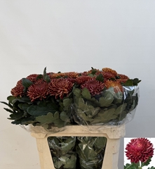 Chrysanth Single Bigoudi Copper 80cm 110gr.
