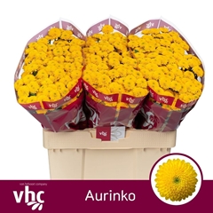 Chrysanth Santini Aurinko 55cm 44gr.
