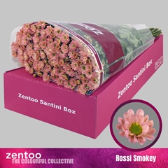 Chrysanth Santini Rossi Smokey 55cm 44gr.