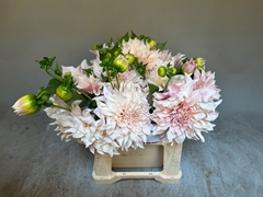 Dahlia Café Au Lait 42cm
