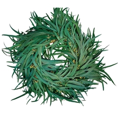 Preserved Wreath D35cm Eucalyptus Berry