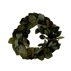 Preserved Wreath D35cm Eucalyptus Popul.