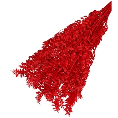 Dried Flowers Ruscus 65cm 110g