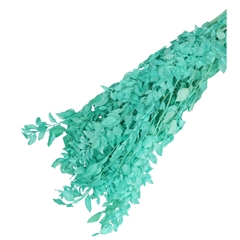 Dried Flowers Ruscus 65cm 110g
