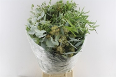 Eucalyptus Mix Per Bunch 70cm 300gr.