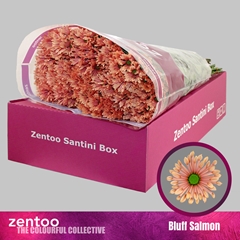 Chrysanth Santini Bluff Salmon 55cm 40gr.