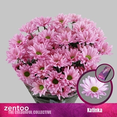 Chrysanth Spray Katinka 70cm 75gr.