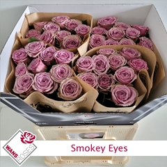 Rosa Smokey Eyes 60cm