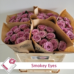 Rosa Smokey Eyes 50cm