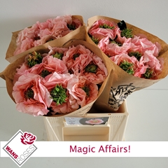 Rosa Magic Affairs! 40cm
