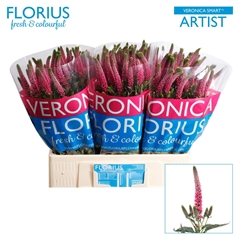 Veronica Smart Artist 60cm