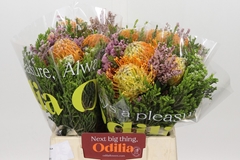 Bouquet Leucospermum Carroussel 3 Flowers 40cm